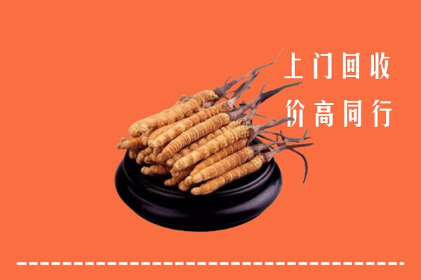 高价求购：头屯河区回收散虫草